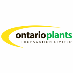 Ontario Plants Propagation Limited